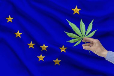 erkek el kıvrımları ile Alaska ABD devletinin ipek ulusal bayrağının arka planına karşı marihuana bir levha tutan, uyuşturucu yasallaştırma kavramı