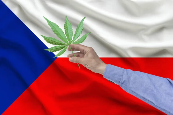 Mužská ruka držící list marihuany na pozadí hedvábného národního praporem České republiky s záhyby, koncept legalizace drog v zemi — Stock fotografie