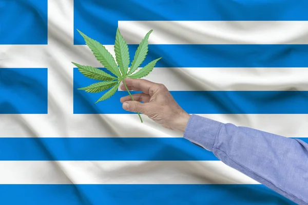 Male hand holding a sheet of marijuana against the background of the silk national flag of Greece with folds, the concept of legalization of drugs in the country — Stock Photo, Image