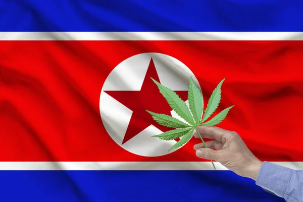 男性手拿着一张大麻，背景是朝鲜丝绸国旗的褶皱，该国毒品合法化的概念 — 图库照片