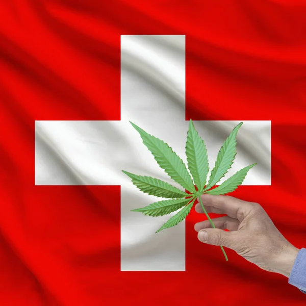 Mão masculina segurando uma folha de maconha contra o pano de fundo da bandeira nacional da seda da Suíça com dobras, o conceito de legalização das drogas no país — Fotografia de Stock