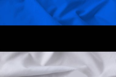 Rüzgar yumuşak kıvrımlar ile Estonya güzel ipek bayrağı