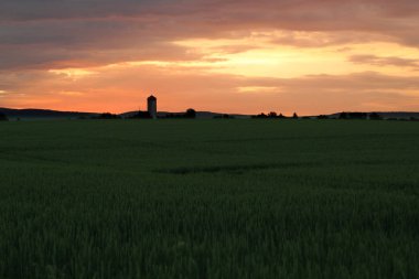 gökyüzü görünür kule, yaz karşı bir buğday alanında güzel büyülü fantastik akşam günbatımı,