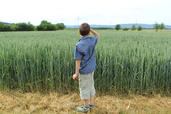Chlapec v džínovou košili a trenýrkách stojí na kraji zeleného pole s bohatou sklizní pšenice v uších v polích, ukazuje pravou ruku do vzdálených hor — Stock fotografie