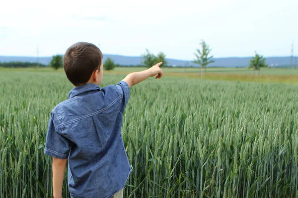 Jongen in een denim overhemd en short staat aan de rand van een groen veld met een rijke oogst van tarwe in de oren rijpings op de velden, toont zijn rechterhand naar verre bergen, close-up — Stockfoto