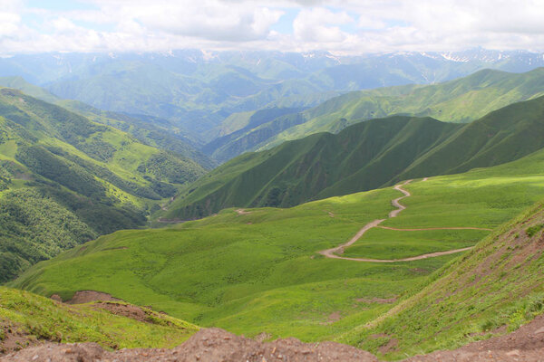 fascinatingly beautiful green mountains of Georgia, Bear Cross Pass, 2700 meters, close-up, top view