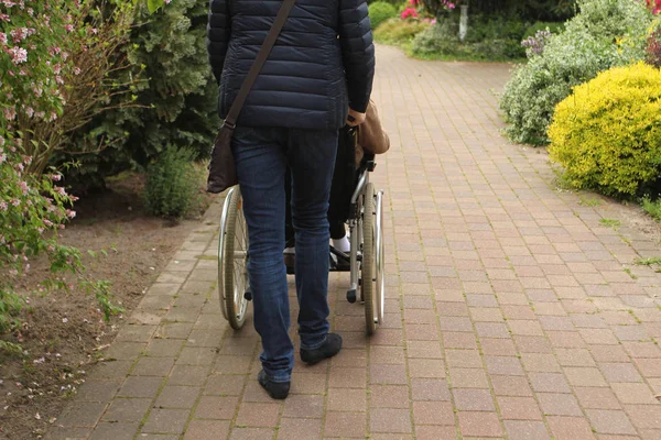 Женщина в черном пиджаке в инвалидном кресле с пожилой женщиной-инвалидом в красивом парке с кустами и цветами, закрыть — стоковое фото