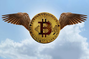 Melek kanatlı Bitcoin e-kripto para birimi bulutlarla mavi bir gökyüzünde uçuyor, rotanın yükselme ve düşme kavramı