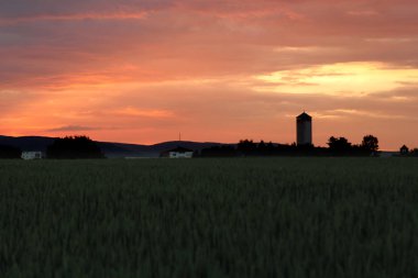 bir buğday tarlasında akşam gün batımı arka planda güzel su kulesi, yaz