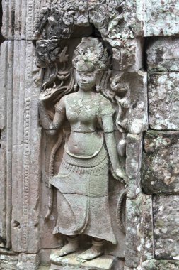 bir angkor wat kamboçya tapınağında bas-kabartma ilahi apsara dansçı