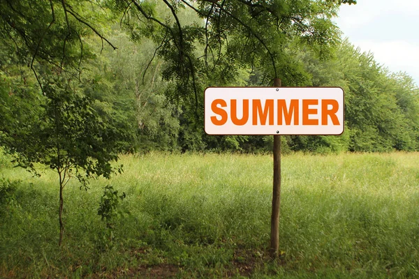 Sinal branco, sinal de estrada na floresta em um poste de madeira com a inscrição verão, conceito — Fotografia de Stock
