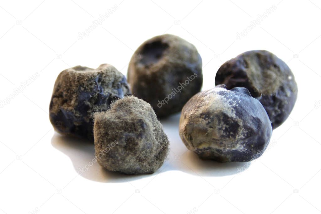 black berries of blueberry covered with gray fluffy mold, close-up, isolate