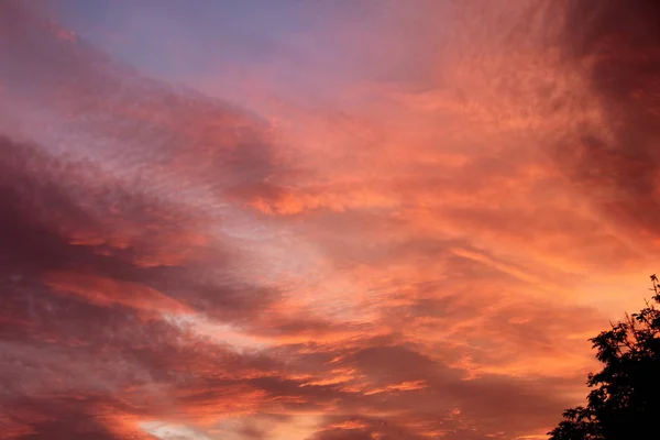 紫の赤い驚くべき夕日の空と血オレンジ色の燃える雲と木の上の明るい日差し — ストック写真