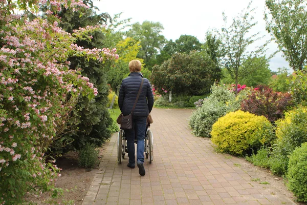 Mujer en una chaqueta negra en una silla de ruedas llevando a una anciana discapacitada en un hermoso parque con arbustos y flores —  Fotos de Stock