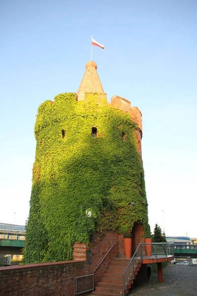 Szczecin, Polonia - Julio 2019: una antigua torre, cubierta de hiedra verde — Foto de Stock