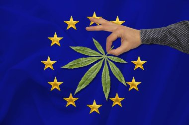 renkli bir devlet bayrağı arka plan karşı bir adam elinde esrar yeşil yaprak, yasallaştırma kavramı, ticaret, üretim ve uyuşturucu kullanımı