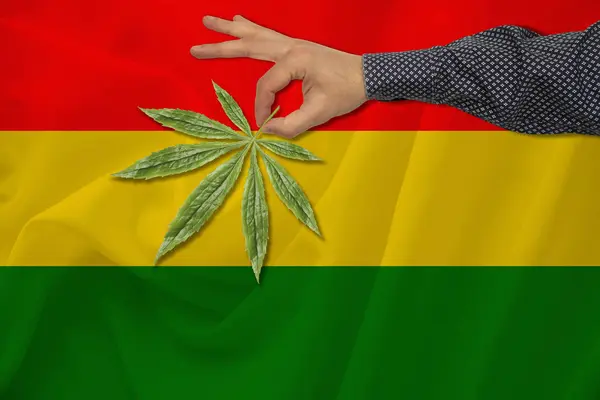 Hoja verde de cannabis en la mano de un hombre en el contexto de una bandera estatal de color, el concepto de legalización, comercio, producción y uso de drogas en el país — Foto de Stock