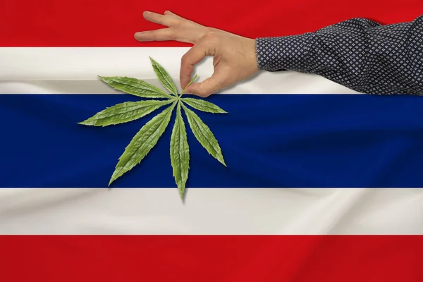 Folha verde de maconha em um homem, com a mão no fundo de uma bandeira do estado colorido, o conceito de legalização das drogas no país — Fotografia de Stock