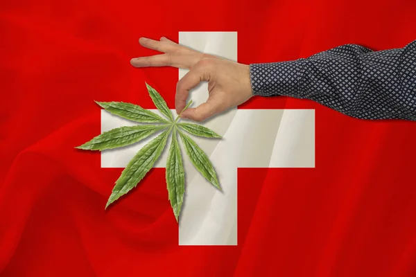 大麻的绿叶在一个人的手背景的彩色国旗，合法化的概念，贸易，生产和使用毒品在该国 — 图库照片