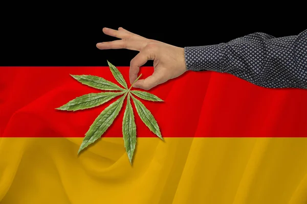 Hoja verde de cannabis en la mano de un hombre en el contexto de una bandera estatal de color, el concepto de legalización, comercio, producción y uso de drogas en el país —  Fotos de Stock