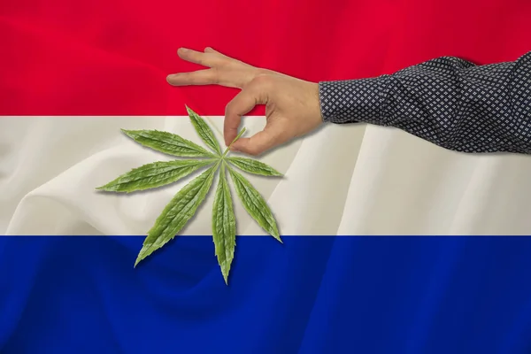 Zielony liść konopi w rękę człowieka na tle kolorowej flagi państwowej, pojęcie legalizacji, handlu, produkcji i stosowania narkotyków w kraju — Zdjęcie stockowe
