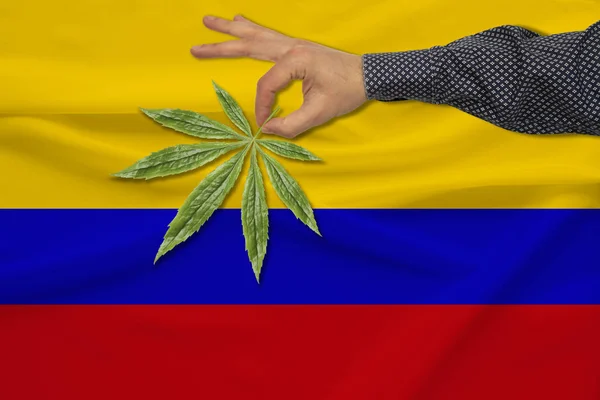 Green leaf of cannabis in a man���s hand against the background of a colored state flag, the concept of legalization, trade, production and use of drugs in the country — Stock Photo, Image