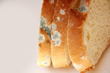 beyaz ekmek, somun, dilimlenmiş, küflü