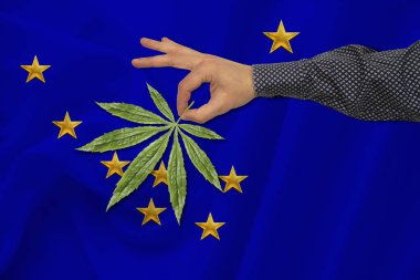 renkli bir devlet bayrağı arka plan karşı bir adam elinde esrar yeşil yaprak, ülkede yasallaştırma kavramı, ticaret, üretim ve uyuşturucu kullanımı