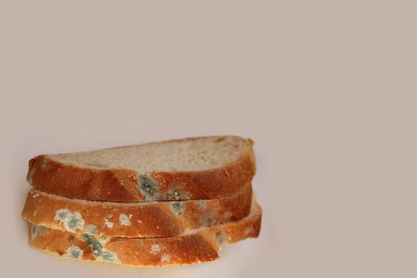 Vitt bröd, skivad, mögligt — Stockfoto