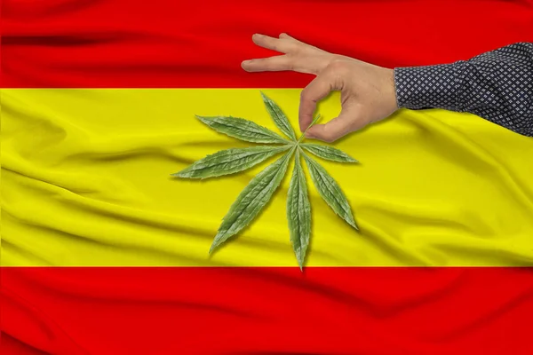 Mano masculina sostiene una hoja verde de cáñamo en el fondo de la bandera nacional de España en la delicada seda brillante, concepto de consumo de drogas y prohibición de drogas, primer plano, espacio de copia — Foto de Stock