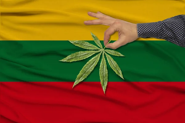 Mano masculina sostiene una hoja verde de cáñamo en el fondo de la bandera nacional de Lituania en la delicada seda brillante, concepto de consumo de drogas y prohibición de drogas, primer plano, espacio de copia — Foto de Stock