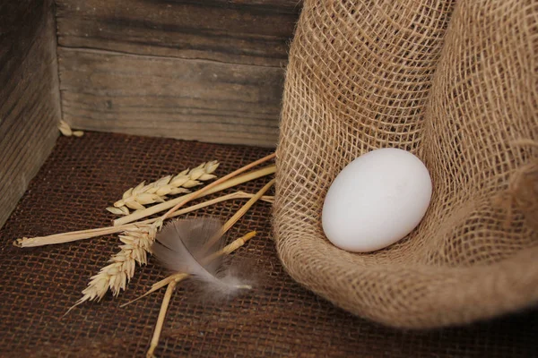 Weißes Ei liegt in einer Holzkiste, alt, Grunge, Konzept, Nahaufnahme, Kopierraum — Stockfoto