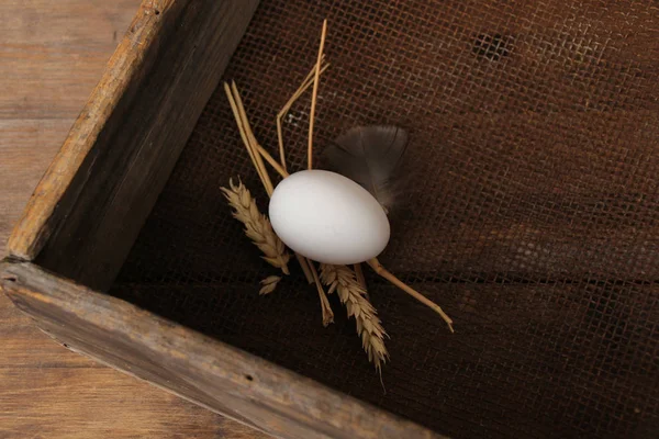 Blanc d'oeuf se trouve dans une boîte en bois, vieux, grunge, concept, gros plan, espace de copie — Photo