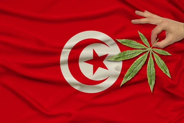 Mano masculina sostiene una hoja verde de cáñamo en el fondo de la bandera nacional de Túnez en la delicada seda brillante, concepto de consumo de drogas y prohibición de drogas, primer plano, espacio de copia — Foto de Stock
