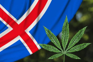 kenevir ve güzel İzlanda ipek ulusal bayrak yeşil yaprak, tıbbi esrar kavramı, uyuşturucu yasallaştırma, uyuşturucu ticareti suçu, yakın çekim