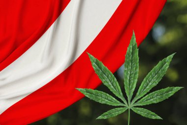 kenevir yeşil yaprak ve avusturya güzel ipek ulusal bayrak, tıbbi esrar kavramı, uyuşturucu yasallaştırma, uyuşturucu kaçakçılığı suçu, yakın çekim
