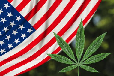 kenevir yeşil yaprak ve Amerika'nın güzel ipek ulusal bayrak, tıbbi esrar kavramı, uyuşturucu yasallaştırma, uyuşturucu kaçakçılığı suçları, yakın çekim