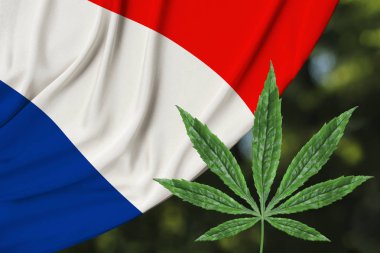 kenevir yeşil yaprak ve Fransa'nın güzel ipek ulusal bayrak, tıbbi esrar kavramı, uyuşturucu yasallaştırma, uyuşturucu ticareti suçu, yakın çekim
