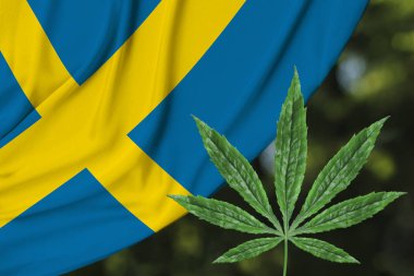 kenevir yeşil yaprak ve İsveç güzel ipek ulusal bayrak, tıbbi esrar kavramı, uyuşturucu yasallaştırma, uyuşturucu ticareti suçu, yakın çekim