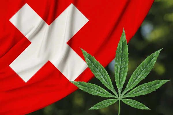 Folha verde de cânhamo e bela bandeira nacional de seda da Suíça, conceito de cannabis medicinal, legalização de drogas, crime de tráfico de drogas, close-up — Fotografia de Stock