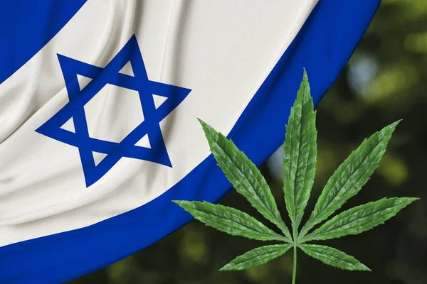 Folha verde de cânhamo e a bela bandeira nacional de seda de Israel, o conceito de cannabis medicinal, legalização de drogas, crimes de tráfico de drogas, close-up — Fotografia de Stock