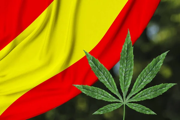 Folha verde de cânhamo e bela bandeira nacional de seda espanha, conceito de cannabis medicinal, legalização de drogas, crime de tráfico de drogas, close-up — Fotografia de Stock