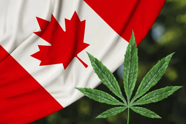 Hoja verde de cannabis y la hermosa bandera nacional de seda de Canadá, el concepto de cannabis medicinal, la legalización de las drogas, los delitos de tráfico de drogas, primer plano —  Fotos de Stock