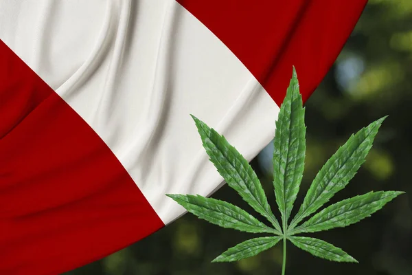 Hoja verde de cáñamo y la hermosa bandera nacional de seda del Perú, el concepto de cannabis medicinal, la legalización de las drogas, los delitos de tráfico de drogas, primer plano —  Fotos de Stock