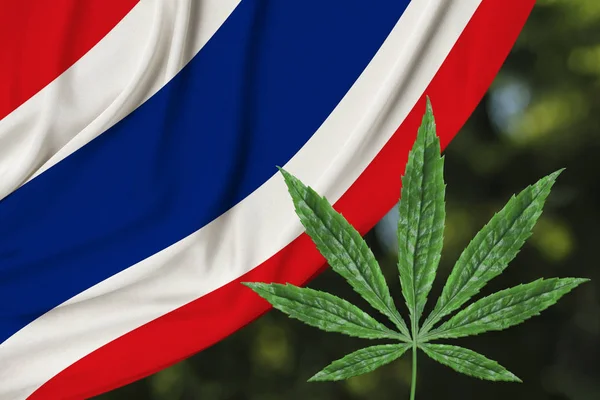 Folha verde de cânhamo e bela bandeira nacional de seda da Tailândia, conceito de cannabis medicinal, legalização de drogas, crime de tráfico de drogas, close-up — Fotografia de Stock