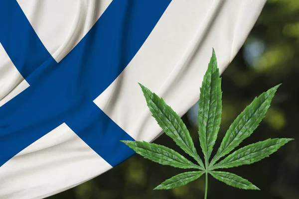 Folha verde de cânhamo e bela bandeira nacional de seda da Finlândia, conceito de cannabis medicinal, legalização de drogas, crime de tráfico de drogas, close-up — Fotografia de Stock