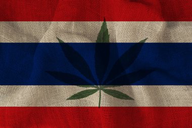 tayland güzel ulusal bayrak yeşil kenevir yaprağı görüntü, tıbbi esrar kavramı, uyuşturucu yasallaştırma, uyuşturucu ticareti suç, yakın çekim