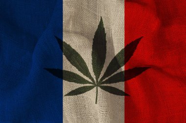 Fransa'nın güzel ulusal bayrağı üzerinde yeşil kenevir yaprağı görüntü, tıbbi esrar kavramı, uyuşturucu yasallaştırma, uyuşturucu bağımlılığı suç, yakın çekim
