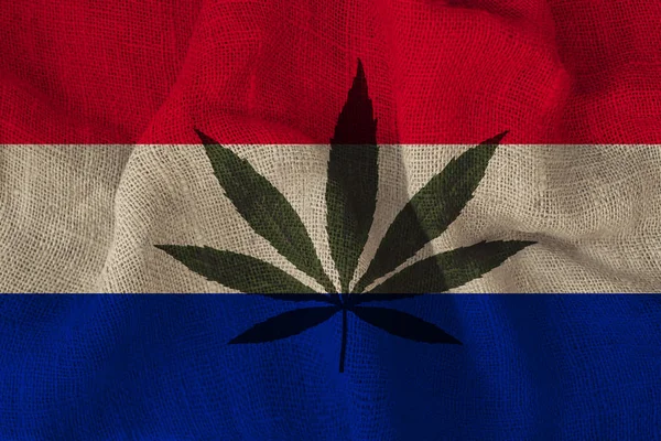 Folha verde de cânhamo e a bela bandeira nacional dos Países Baixos, o conceito de cannabis medicinal, legalização de drogas, crimes de tráfico de drogas, close-up — Fotografia de Stock