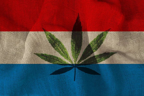 Folha verde de cânhamo e a bela bandeira nacional do Luxemburgo, o conceito de cannabis medicinal, legalização de drogas, crimes de tráfico de drogas, close-up — Fotografia de Stock